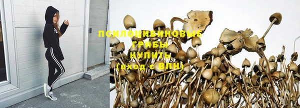 меф Бородино