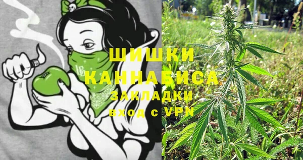 прущие крисы Вяземский